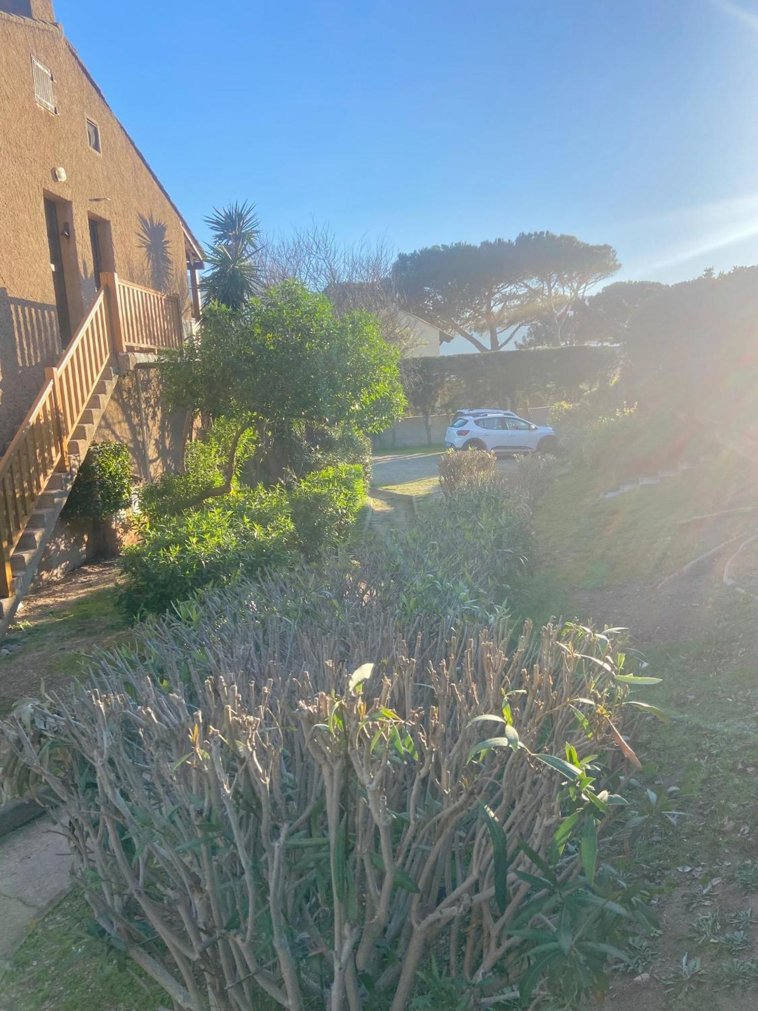 Tres Bel Appartement Les Pieds Dans L'Eau Appietto Luaran gambar